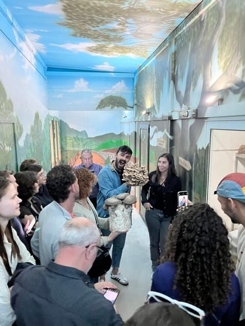 GUIDED TOUR + TASTE IN A MUSHROOM FARM - Tour Structure and Highlights