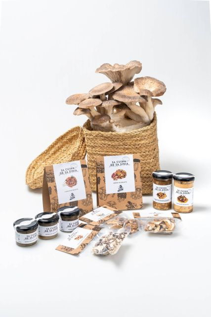 GUIDED TOUR + TASTE IN A MUSHROOM FARM - The Sum Up