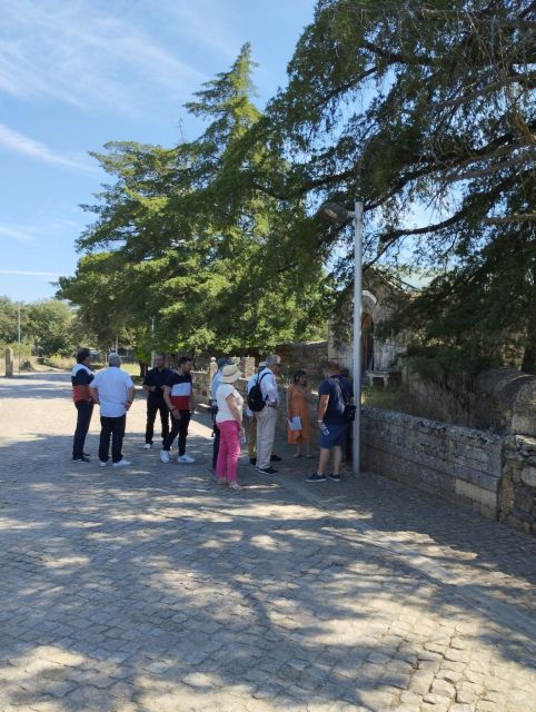 Guided Tour - There - Translana - Tour Details