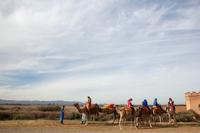 Guided Tour To Atlas Mountains With Camel Ride In Marrakech - Meeting Point and Operator Details
