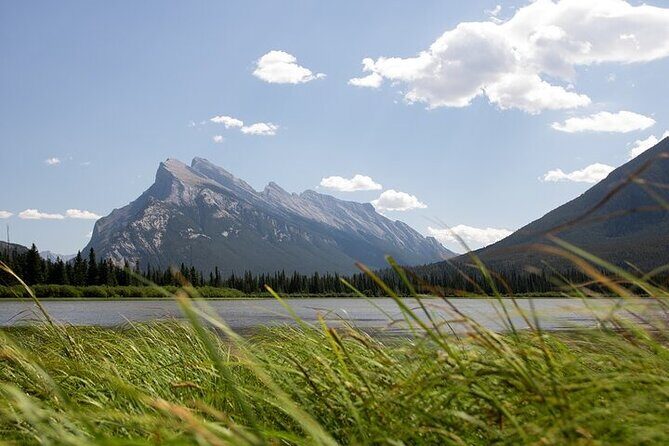 Guided Tour to Banff Highlights & Wildlife With Gondola Admission - FAQ