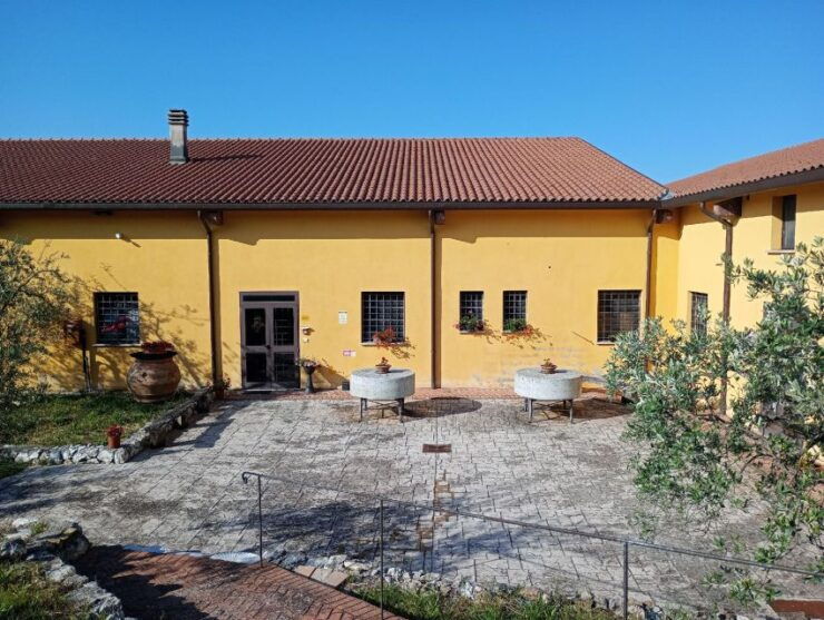 Guided Tour to Del Sero Oil Mill - Booking Details