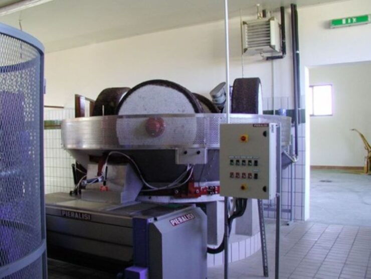 Guided Tour to Del Sero Oil Mill - Experience Highlights