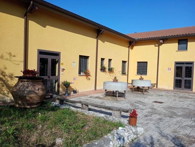 Guided Tour to Del Sero Oil Mill - Live Tour Guide
