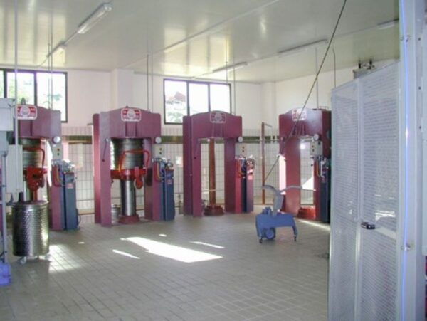 Guided Tour to Del Sero Oil Mill - Directions