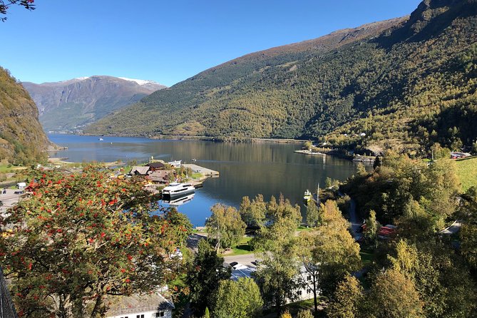 Guided Tour To Nærøyfjorden, Flåm And Stegastein - Viewpoint Cruise - Highlight of the Tour: Boat Tour of the Fjords