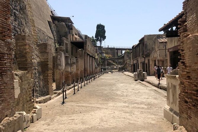 Guided Tour to Pompei and Herculaneum: Skip-the-line Tickets - Highlights of Herculaneum