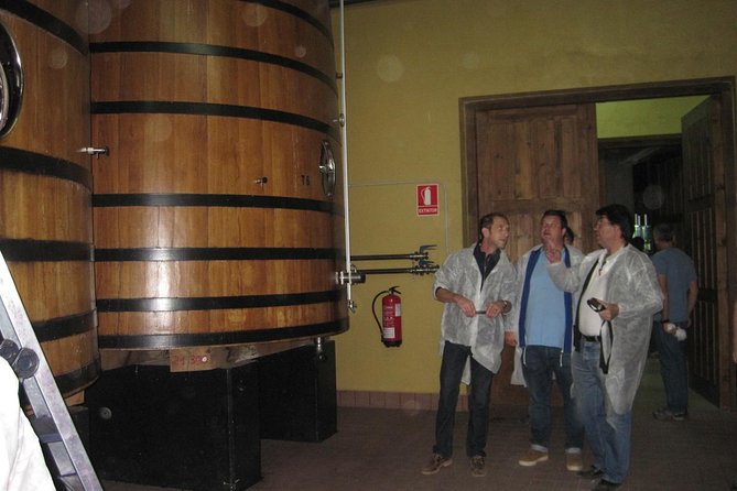 Guided Tour to Ribera Del Duero Winery and Wine Tasting From Madrid - Tour Overview and Itinerary