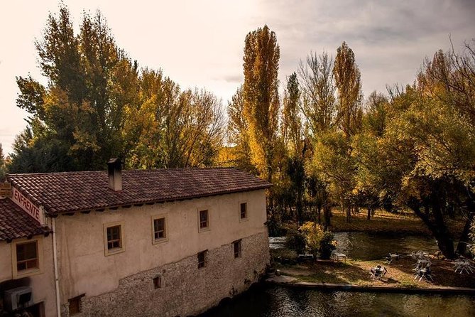Guided Tour to Ribera Del Duero Winery and Wine Tasting From Madrid - Common Questions