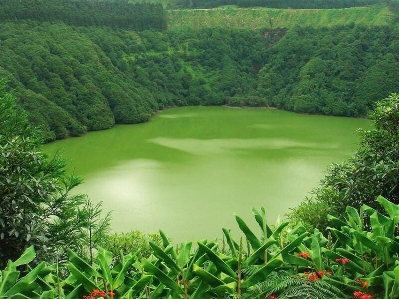 Guided Tour to the green & blue Lake of Sete Cidades - What’s Included & Practical Info