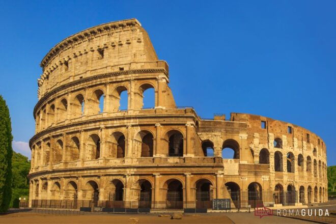 Guided Tour to the Palatine Coliseum and Roman Forum - Experience Description
