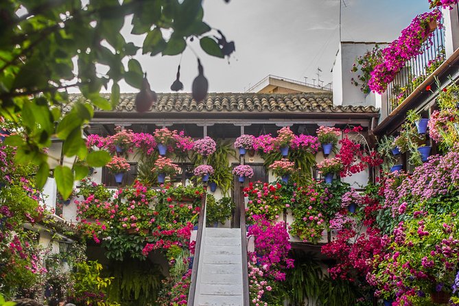Guided Tour to the Popular Patios of Cordoba - Tour Details