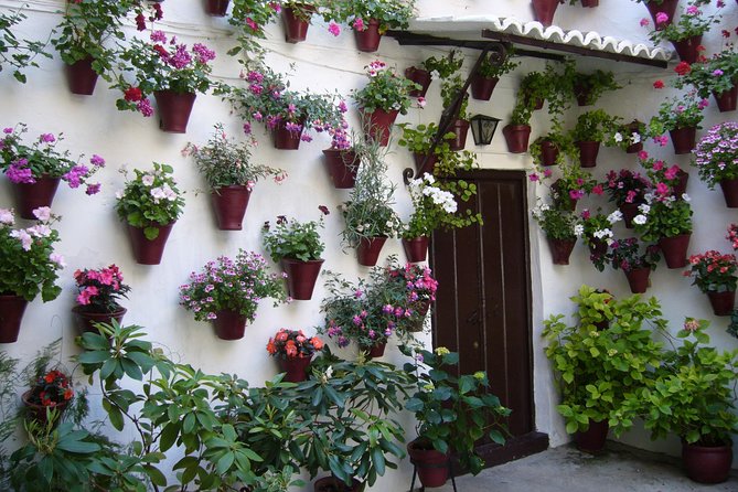 Guided Tour to the Popular Patios of Cordoba - End Point