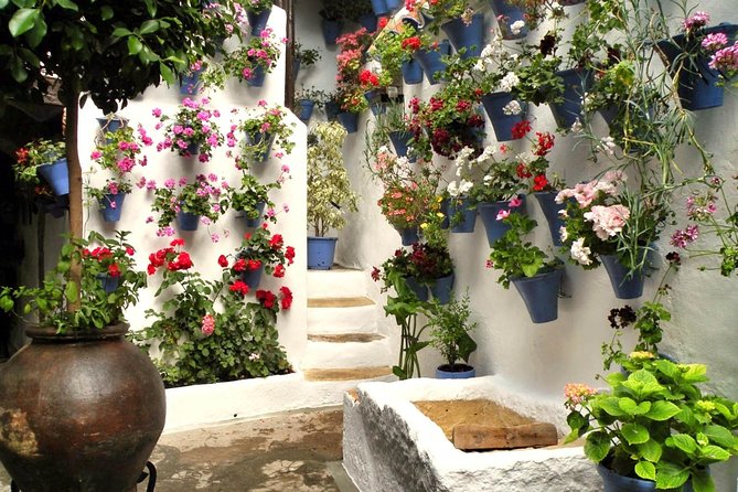 Guided Tour to the Popular Patios of Cordoba - Common Questions