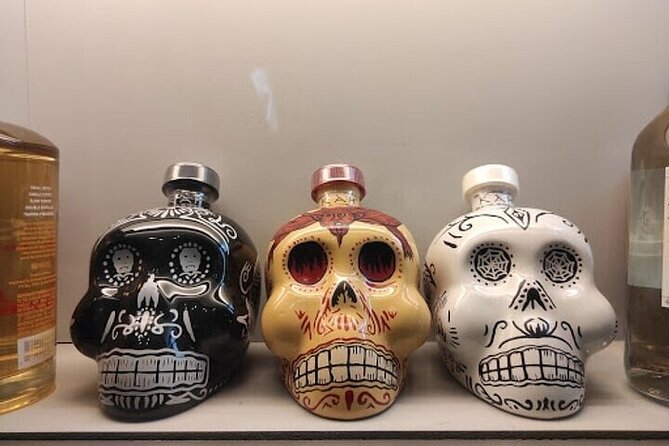 Guided Tour to the Tequila and Mezcal Museum - Tasting Experience and Production Tour