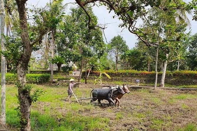 Guided Tour to Visit MY LAI MASSACRE & VIETNAMESE HEROIC MOTHER STATUE(Private) - Tour Overview