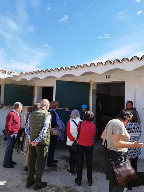 Guided Tour Training Day in the La Zarzuela Racecourse. - Experience Highlights