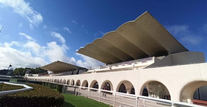 Guided Tour Training Day in the La Zarzuela Racecourse. - Itinerary Details