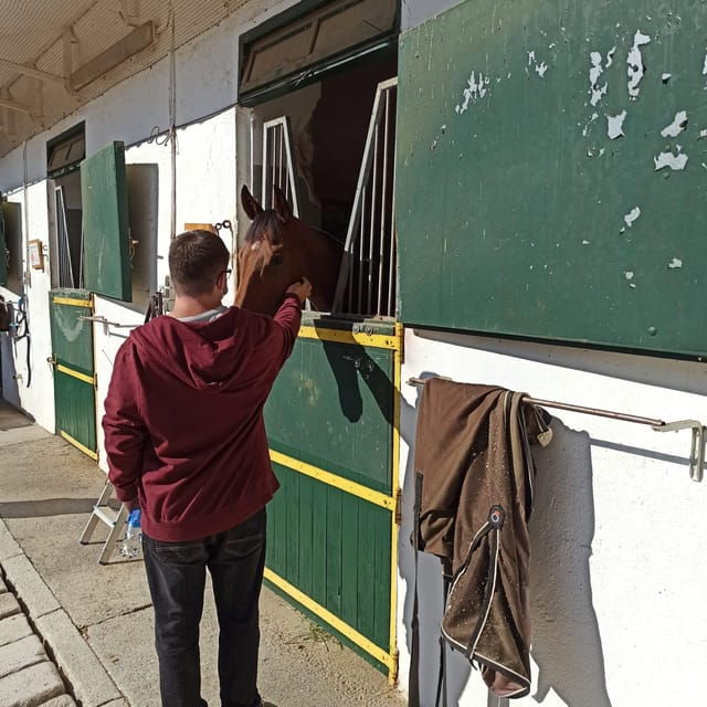 Guided Tour Training Day in the La Zarzuela Racecourse. - Guided by Former Jockeys