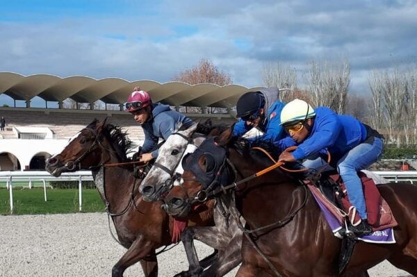 Guided Tour Training Day in the La Zarzuela Racecourse. - Reserve Now & Pay Later