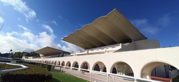 Guided Tour Training Day in the La Zarzuela Racecourse. - Frequently Asked Questions