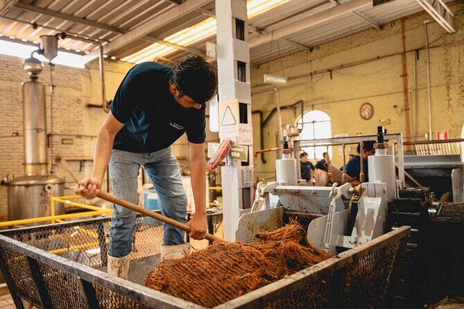 Guided Tour with Tasting in Tequilera Hacienda de Oro - What Sets This Tour Apart?