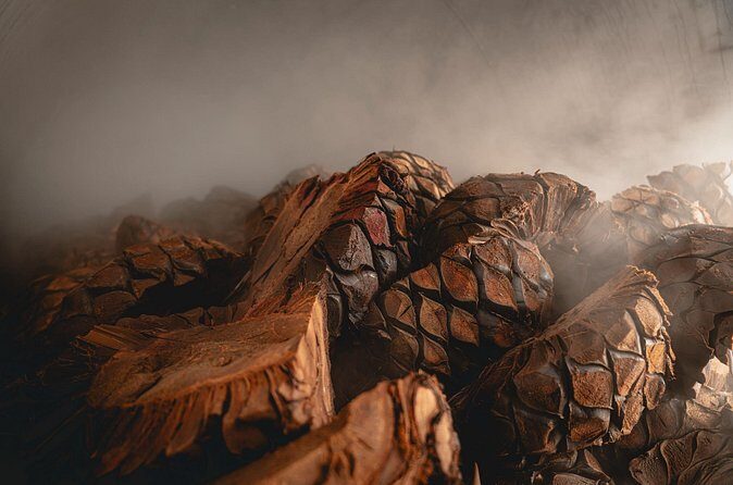 Guided Tour with Tasting in Tequilera Hacienda de Oro - Who Should Consider This Tour?