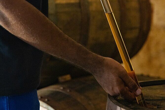 Guided tour with tasting of the Distillery Bonne Mère - Exploring the Tour: A Step-by-Step Breakdown