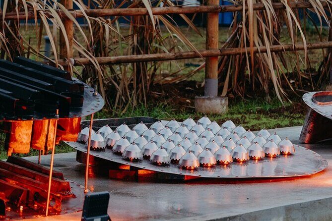 Guided tour with tasting of the Distillery Bonne Mère - Practical Details: What to Expect