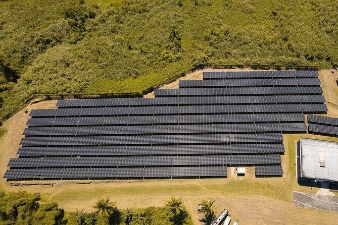 Guided tour with tasting of the Distillery Bonne Mère - Who Will Enjoy This Tour?