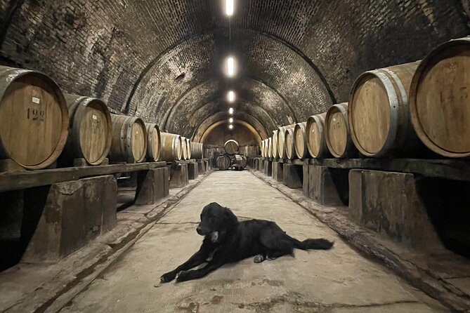 Guided Tour With Wine Tasting and Local Organic Products - Availability and Reservation Information