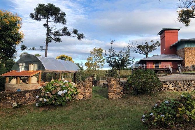 Guided Tour With Wine Tasting at Casa Seganfredo - Gramado - Cancellation Policy