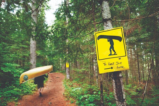 Guided Tours Algonquin Park - What Makes This Tour Stand Out?