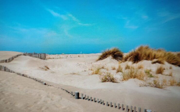 GUIDED TOURS CAMARGUE GETAWAY - Itinerary Highlights