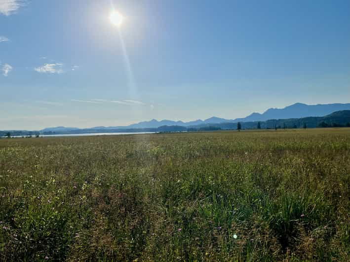 Guided Tours in and Around Murnau on the Staffel Lake - Key Points