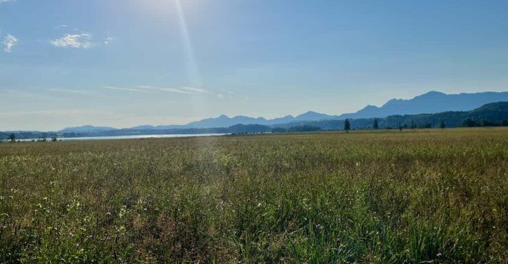 Guided Tours in and Around Murnau on the Staffel Lake - Experience Highlights