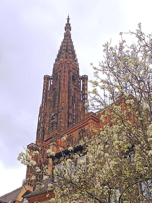 Guided tours of Strasbourg Cathedral - Who Is This Tour Best For?