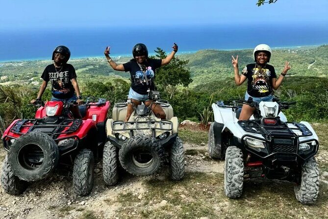 Guided tours, sightseeing trips, transport and excursions - The Breakdown of the Tour Experience