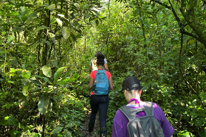 Guided Trail in Malacara Canyon and Bathing in a Natural Pool - Tour Overview