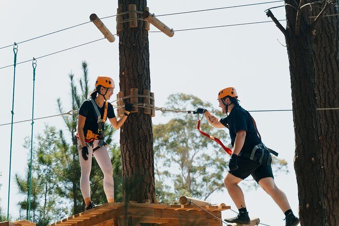 Guided Tree Ropes Course Experience in Majura Pines - The Experience: What to Expect from the Majura Pines Ropes Course