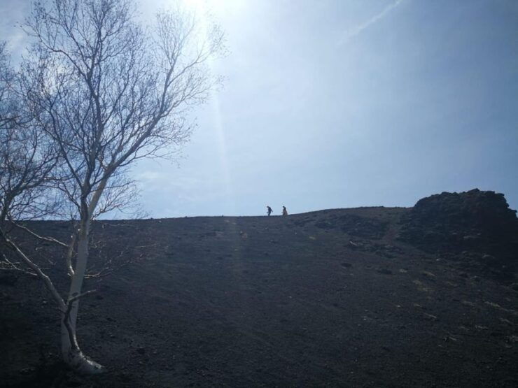 Guided Trekking on Etna Volcano With Transfer From Syracuse - Good To Know