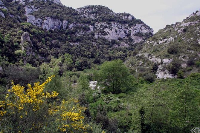 Guided Trekking to Cavagrande Del Cassibile in Sicily - Reviews