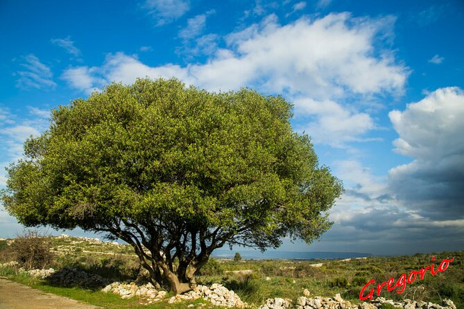 Guided Trekking to Cavagrande Del Cassibile in Sicily - Directions