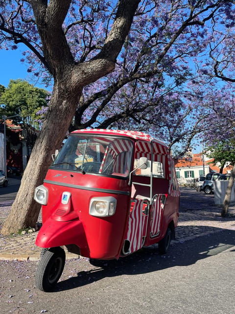 Guided tuk tuk tour in Lisbon's old neighborhoods - Who Would Love This Tour?