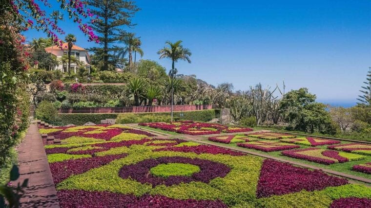 Guided Tuk-Tuk Tour to Botanical Garden (From Funchal) - The Sum Up