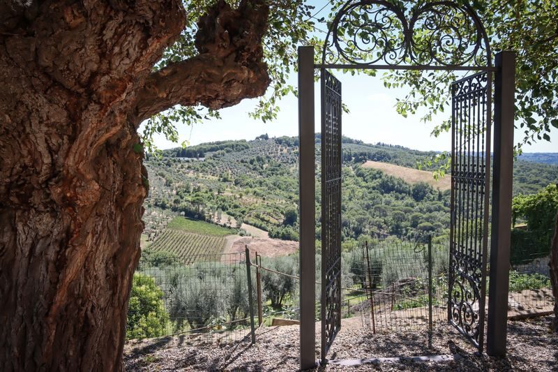 Guided Tuscany Chianti Drive: FIAT E-Car, Wine & Tuscan Lunch - Two and a half hours among vineyards and cypress trees