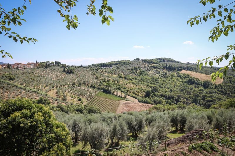 Guided Tuscany Chianti Drive: FIAT E-Car, Wine & Tuscan Lunch - A half-hour walk in a hilltop village