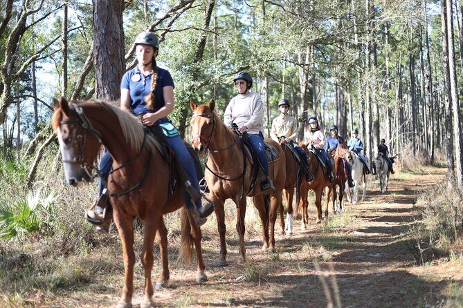 Guided Two Hour Horseback Trail Ride in Central Florida - Good To Know