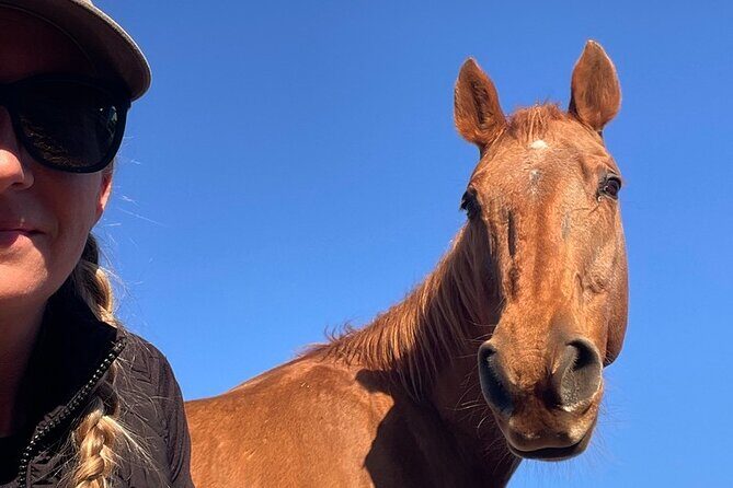 Guided Two Hour Horseback Trail Ride in Central Florida - Final Thoughts: Is It Worth It?