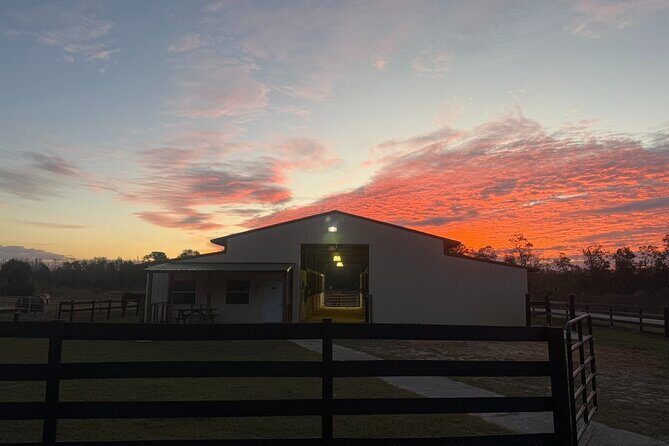 Guided Two Hour Horseback Trail Ride in Central Florida - FAQs